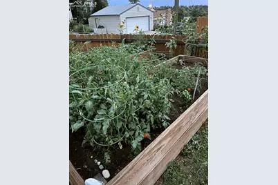 2007 Oriole Avenue, Colorado Springs, CO 80909 - Photo 41