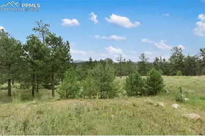 1058 Hackamore Drive, Florissant, CO 80816 - Photo 3