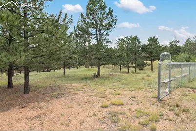 1058 Hackamore Drive, Florissant, CO 80816 - Photo 35