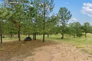 1058 Hackamore Dr, Florissant, CO 80816 - Photo 5