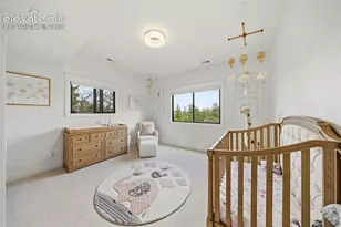 2220 Cape Pine Way, Colorado Springs, CO 80919 - Photo 37