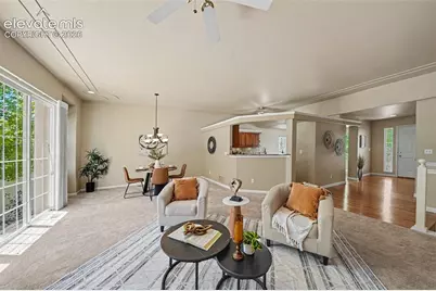 4835 Rushford Place, Colorado Springs, CO 80923 - Photo 9