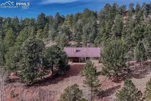 1131 Pikes Peak Dr, Divide, CO 80814 - Photo 27