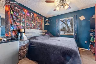 1013 Grinde Dr, Fountain, CO 80817 - Photo 15