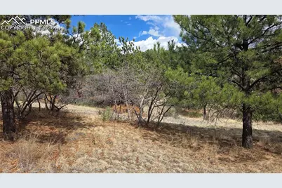 2002 Comanche Circle, Florissant, CO 80816 - Photo 5