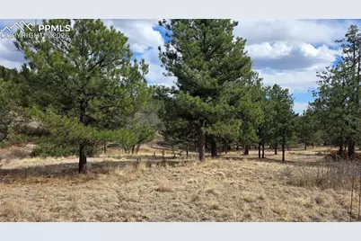 2002 Comanche Circle, Florissant, CO 80816 - Photo 1