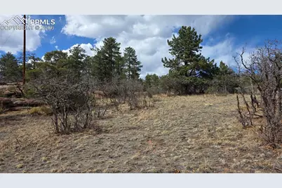 2002 Comanche Circle, Florissant, CO 80816 - Photo 17