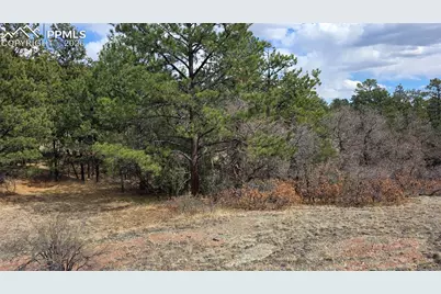 2002 Comanche Circle, Florissant, CO 80816 - Photo 15