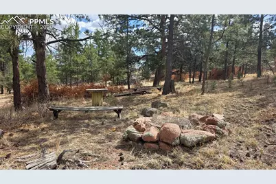 2002 Comanche Circle, Florissant, CO 80816 - Photo 9