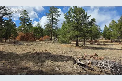 2002 Comanche Circle, Florissant, CO 80816 - Photo 13