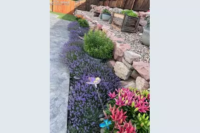 6645 Cache Drive, Colorado Springs, CO 80923 - Photo 41