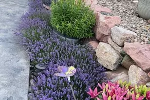 6645 Cache Dr, Colorado Springs, CO 80923 - Photo 41