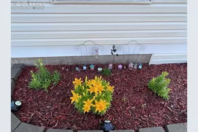 6645 Cache Drive, Colorado Springs, CO 80923 - Photo 47