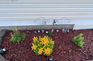 6645 Cache Dr, Colorado Springs, CO 80923 - Photo 47