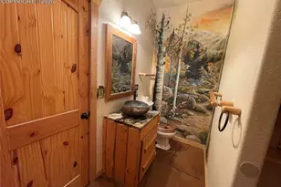 311 Panther Ct, Woodland Park, CO 80863 - Photo 21