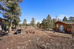 66 Shawnee Pl, Florissant, CO 80816 - Photo 39