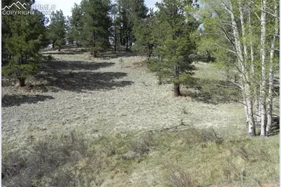 1699 Monarch Drive, Cripple Creek, CO 80813 - Photo 1