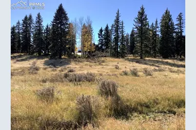 199 Joshua Road, Divide, CO 80814 - Photo 1