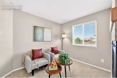 785 Diamond Rim Drive, Colorado Springs, CO 80921 - Photo 23