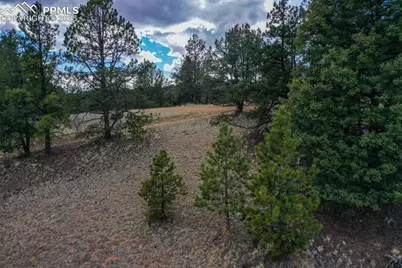102 Blue Bell Circle, Cripple Creek, CO 80813 - Photo 27
