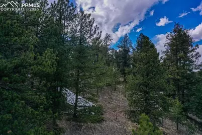 102 Blue Bell Circle, Cripple Creek, CO 80813 - Photo 19