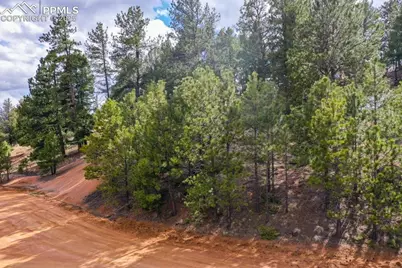 102 Blue Bell Circle, Cripple Creek, CO 80813 - Photo 11