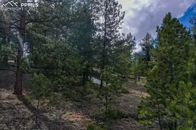 102 Blue Bell Circle, Cripple Creek, CO 80813 - Photo 17