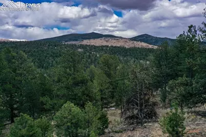 102 Blue Bell Circle, Cripple Creek, CO 80813 - Photo 31