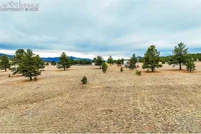 12077 County Road 1, Florissant, CO 80816 - Photo 17