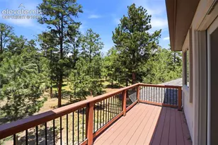 10916 Silver Mountain Point, Colorado Springs, CO 80908 - Photo 41