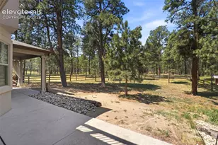 10916 Silver Mountain Point, Colorado Springs, CO 80908 - Photo 43