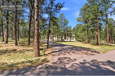 10916 Silver Mountain Point, Colorado Springs, CO 80908 - Photo 3