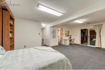 1325 Deby Place, Colorado Springs, CO 80921 - Photo 39