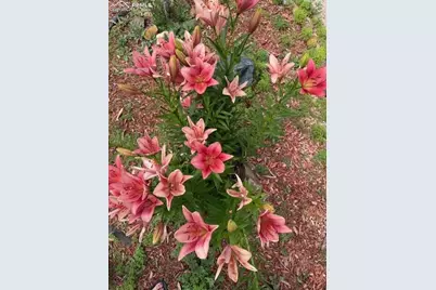 3978 Pronghorn Meadows Circle, Colorado Springs, CO 80922 - Photo 33