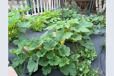 3978 Pronghorn Meadows Circle, Colorado Springs, CO 80922 - Photo 37