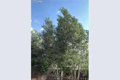 3978 Pronghorn Meadows Circle, Colorado Springs, CO 80922 - Photo 35