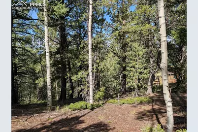 60 Fluorite Lane, Divide, CO 80814 - Photo 15