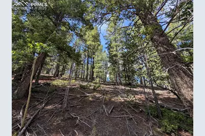 60 Fluorite Lane, Divide, CO 80814 - Photo 7