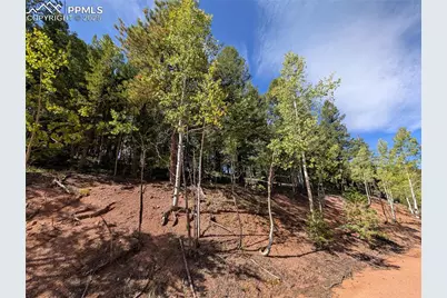 60 Fluorite Lane, Divide, CO 80814 - Photo 3
