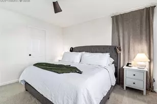 8069 Buffalo Horn Dr, Colorado Springs, CO 80925 - Photo 21