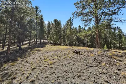 504 Bear Mountain Road, Florissant, CO 80816 - Photo 5