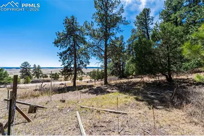 22555 County Road 49, Elbert, CO 80106 - Photo 7