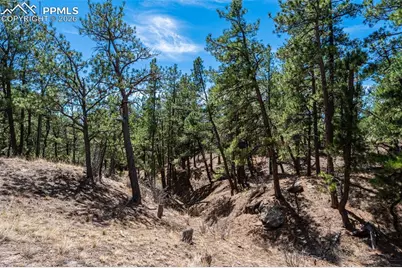 22555 County Road 49, Elbert, CO 80106 - Photo 21