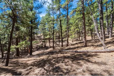 22555 County Road 49, Elbert, CO 80106 - Photo 11