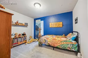 7700 Frigid Air Pt, Colorado Springs, CO 80908 - Photo 13