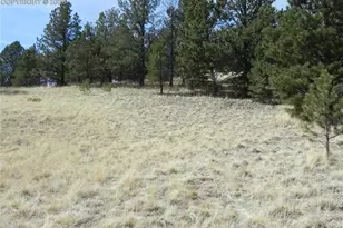 1058 Monarch Dr, Cripple Creek, CO 80813 - Photo 1