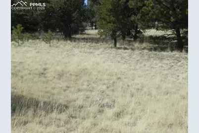 1058 Monarch Drive, Cripple Creek, CO 80813 - Photo 3