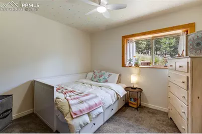 104 Mt Elbert Drive, Florissant, CO 80816 - Photo 33