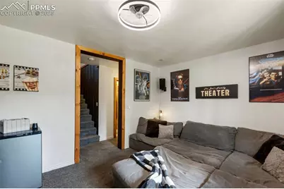 104 Mt Elbert Drive, Florissant, CO 80816 - Photo 41