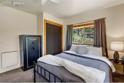 104 Mt Elbert Drive, Florissant, CO 80816 - Photo 35